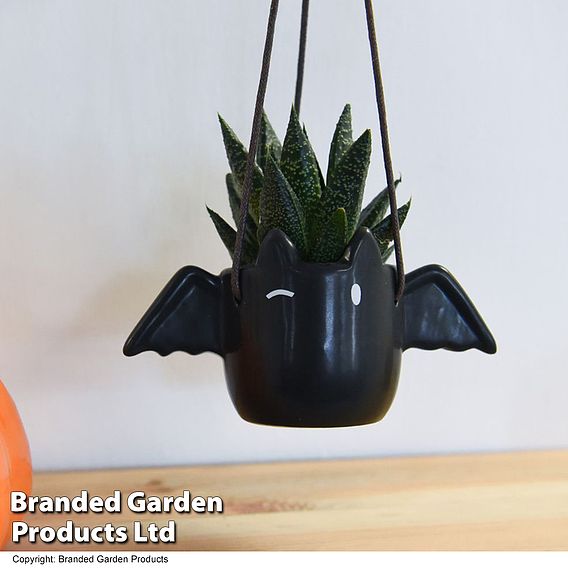 Halloween Succulent in Flappy Pot