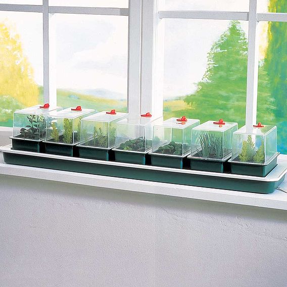 Super 7 Electric Propagator