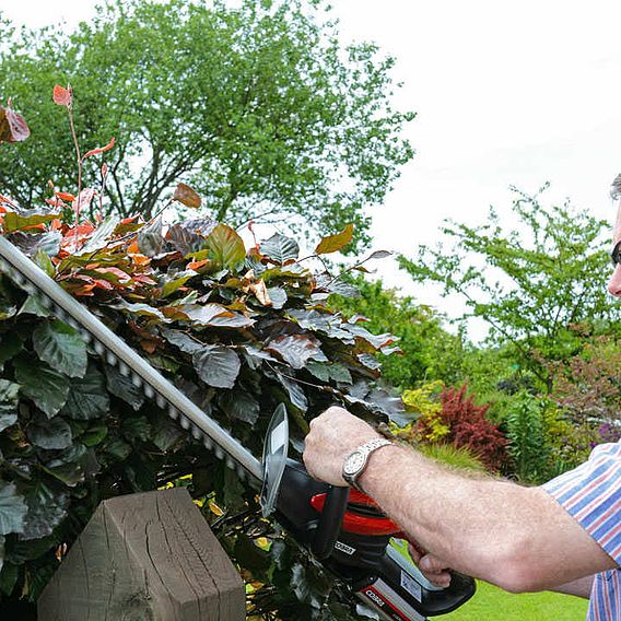 Cobra 24v Cordless Hedgetrimmer