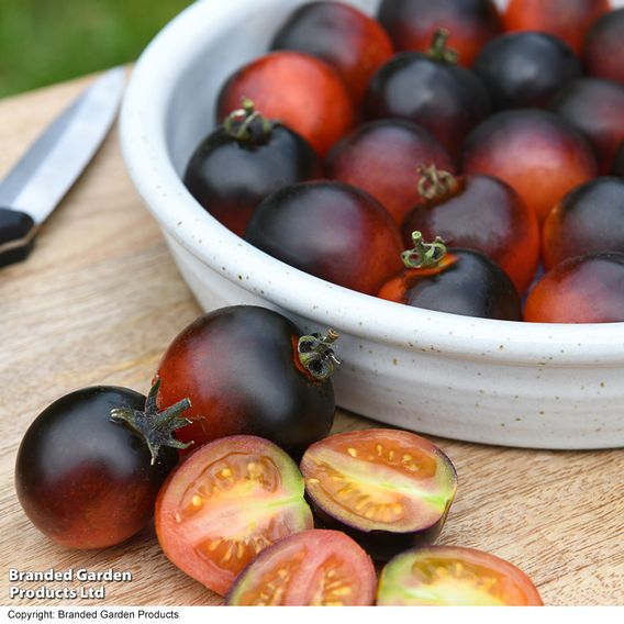 Tomato 'Akoya'