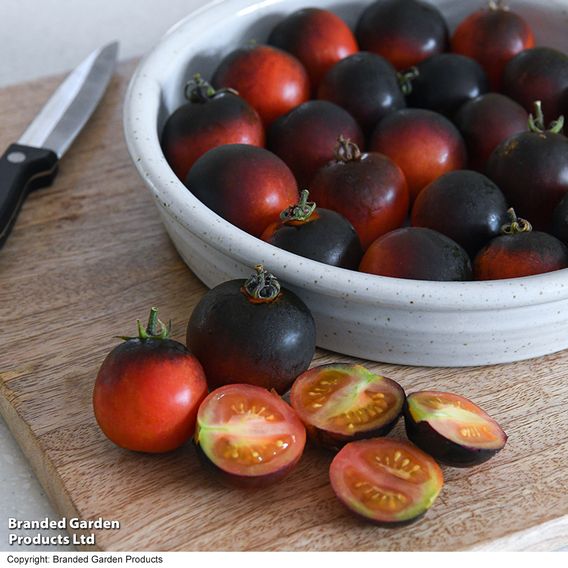 Tomato 'Akoya'