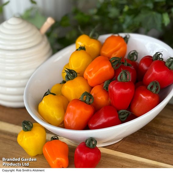 Tomato Appleberry Trio