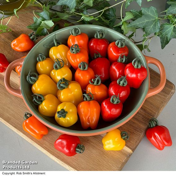 Tomato Appleberry Trio