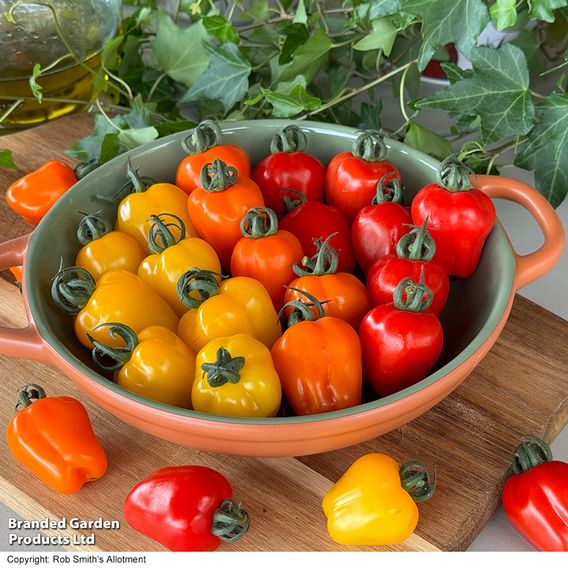 Tomato Appleberry Trio