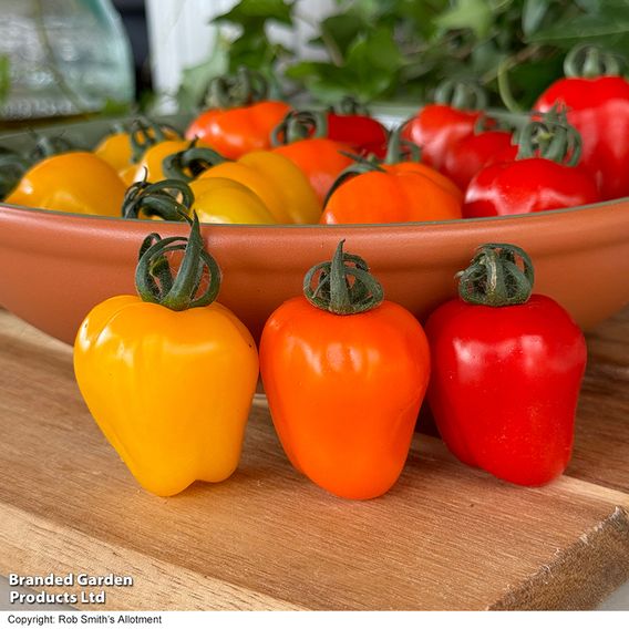 Tomato Appleberry Trio