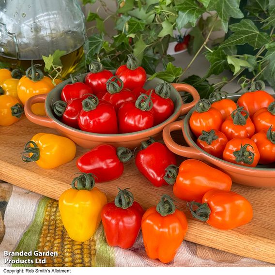 Tomato Appleberry Trio