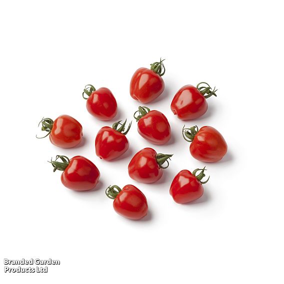 Tomato 'Fraise' - Seeds