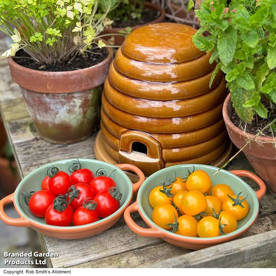 Tomato 'Honey Duo'