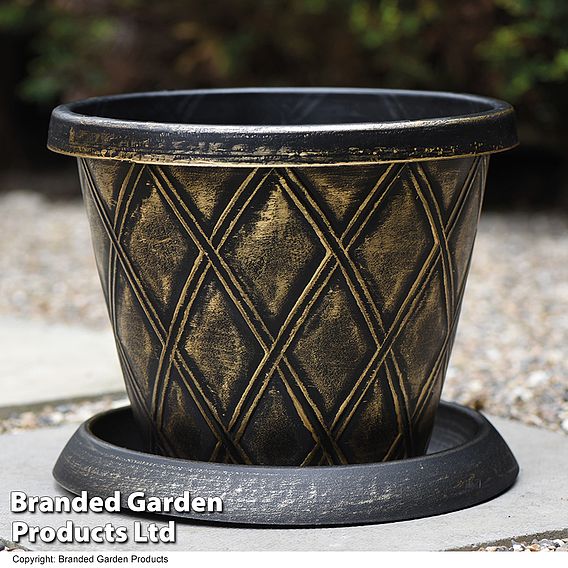 Black and Gold Flowerpot with 25L Incredicompost