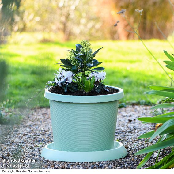 Pistachio Green Flowerpot with Saucer