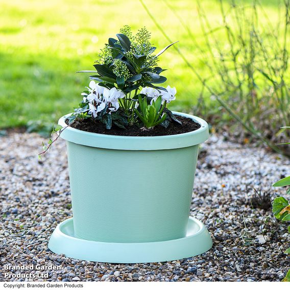 Pistachio Green Flowerpot with Saucer