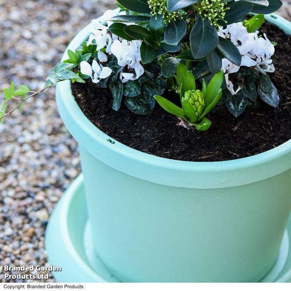 Pistachio Green Flowerpot with Saucer