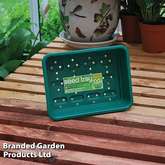 Seed Trays - Half Size