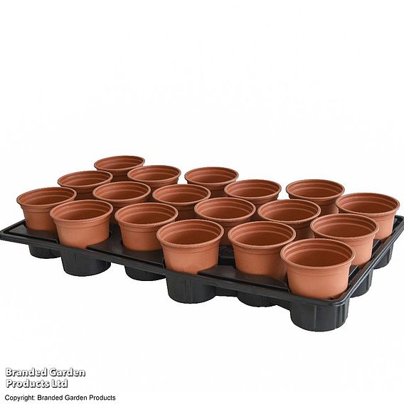 Shuttle Trays and Pots