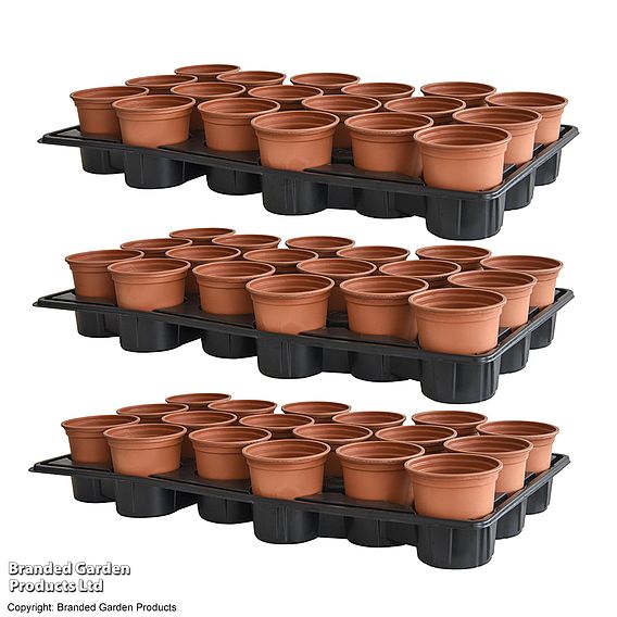 Shuttle Trays and Pots