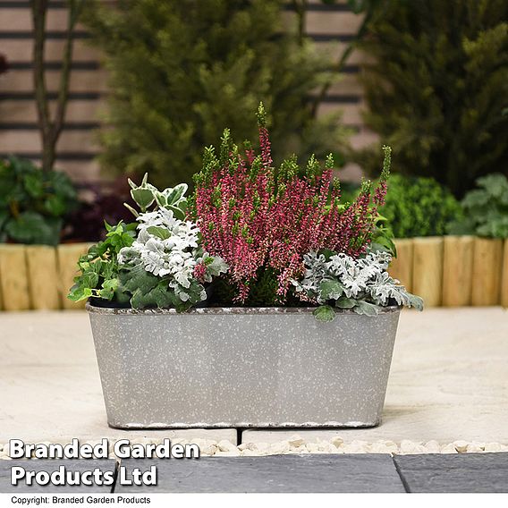 Steel Metal Effect Trough Planter