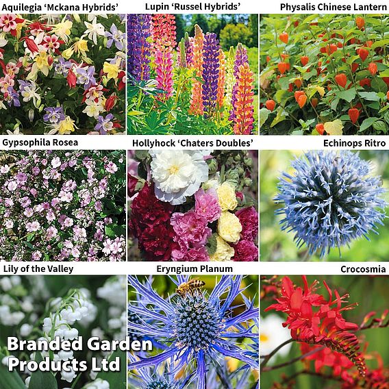 Perennial Saver Collection | Dobies