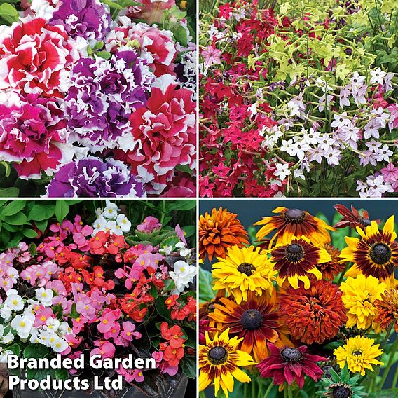 Summer Bedding Collection