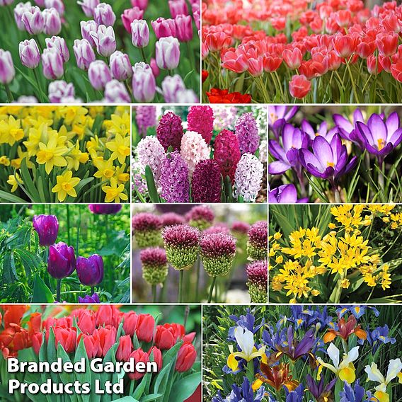 Spring Saver Bulb Bundle