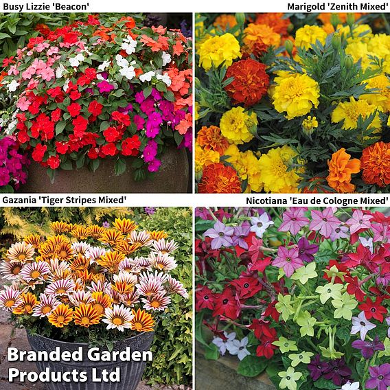 Garden Ready Bedding Collection