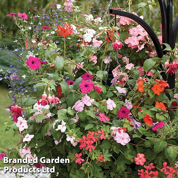 Pre-Planted Hanging Basket Mix